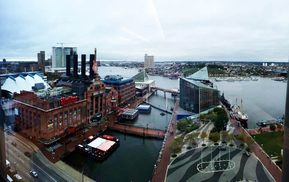 Baltimore Harbor, inspiration for a custom corporate art installation
